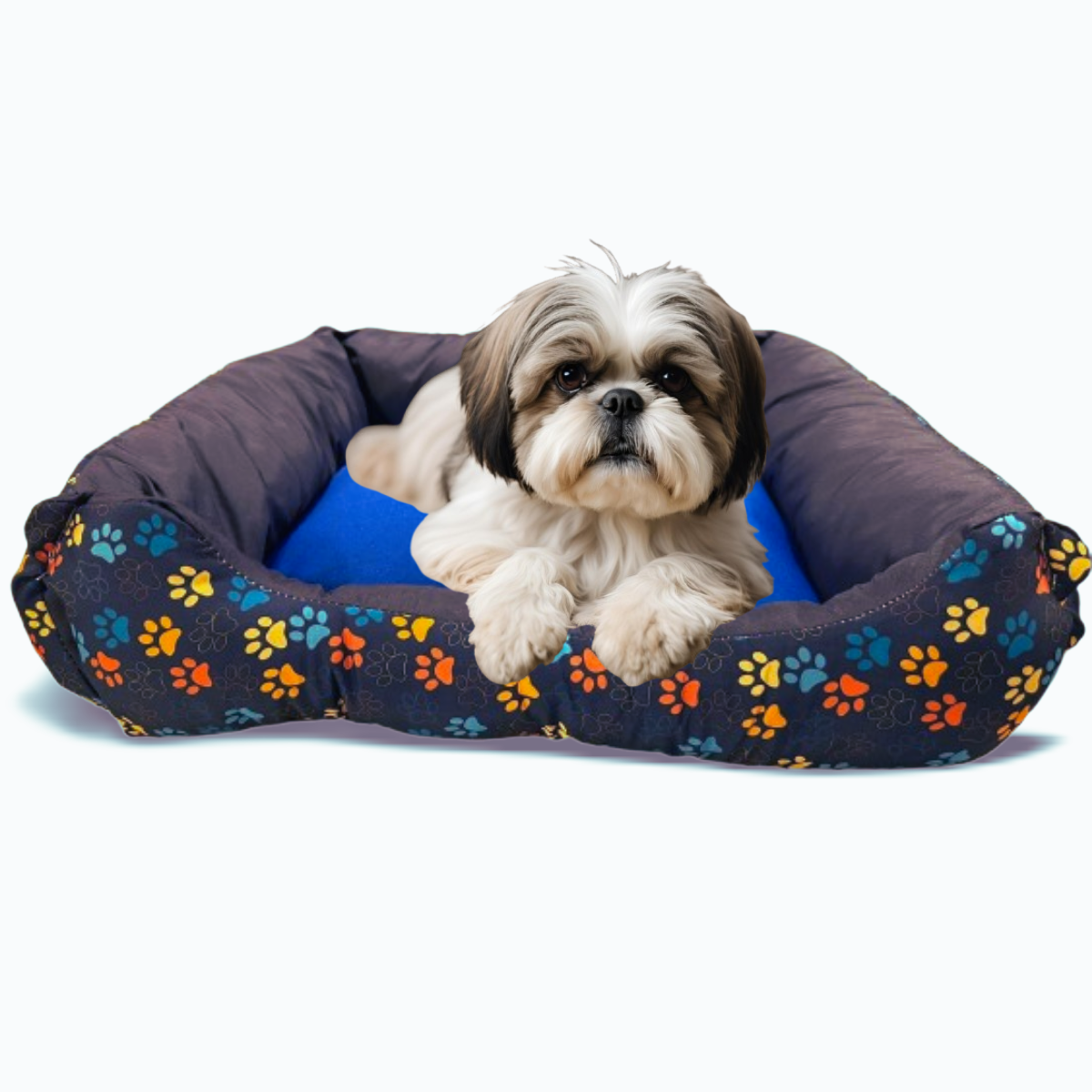 Belinx™ Cama PET