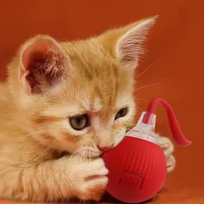 Belinx™ Bola Inteligente para Cães & Gatos