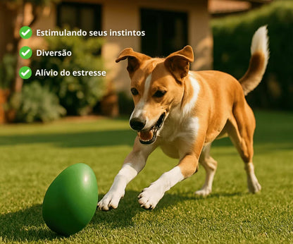 Belinx™ Ovo Maluco