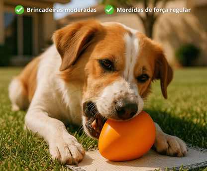 Belinx™ Ovo Maluco